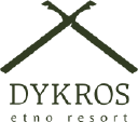 Company logo for dykros.lt