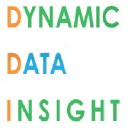 dynamicdatainsight.com