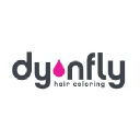 dynfly.com