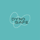 dynosafe.com
