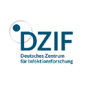 dzif.de