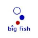 e-bigfish.com