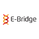 e-bridgeonline.com