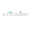 E-Systemizers