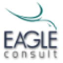 eagleconsult.com.br