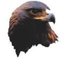 eaglecontainers.co.uk