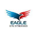 eagleeyesynergies.com