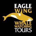 Eagle Wing Tours