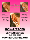 Ear Charms