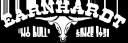earnhardtford.com
