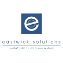 eastwicksolutions.com