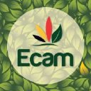 ecam.org.br