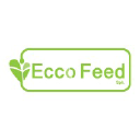 eccofeed.cl