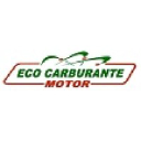 ecocarburantemotor.net