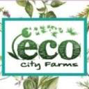 ecocityfarms.org