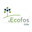 ecofos.cl