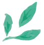 ECOLOTIS
