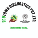 ecotowndiagnostics.com