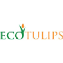ecotulips.com