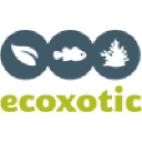 ecoxotic.com