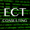 Emerald Coast Technology Consulting