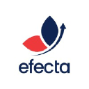 efecta.com.br