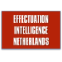 effectuation-intelligence.nl