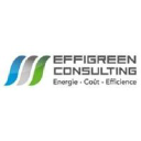 effigreen-consulting.net