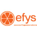 efys.com.ve