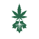 EIGHTH CANNABIS logo