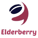 elderberrytech.com