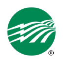 electric co