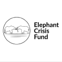 elephantcrisisfund.org