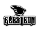 elesteon.nl