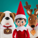 Elf on the Shelf