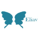eliav-consulting.com