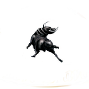 El Toro Bravo ll