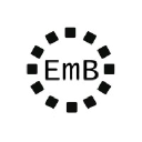 embrightinfotech.com