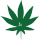 Emerald Leaves Logo
