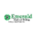 emeraldmedicalbilling.com