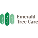 emeraldtreecarellc.com