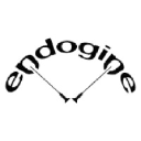 endogine.com.co