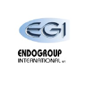 endogroupinternational.com