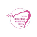 endometriosisturkey.com