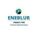 eneblur.com
