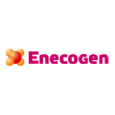 enecogen.nl