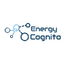 energycognito.com