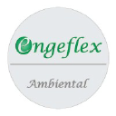 engeflexambiental.com.br
