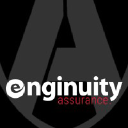 enginuity-llc.com