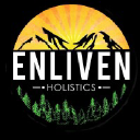enlivenholistics.com